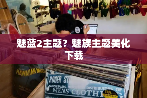 魅蓝2主题？魅族主题美化下载