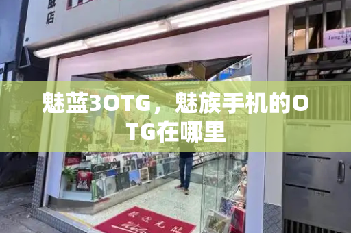 魅蓝3OTG，魅族手机的OTG在哪里-第1张图片-星选测评