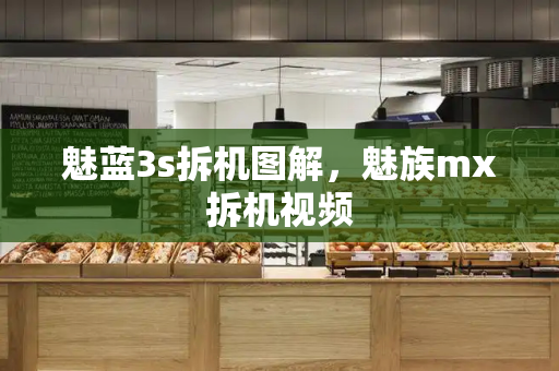 魅蓝3s拆机图解，魅族mx拆机视频