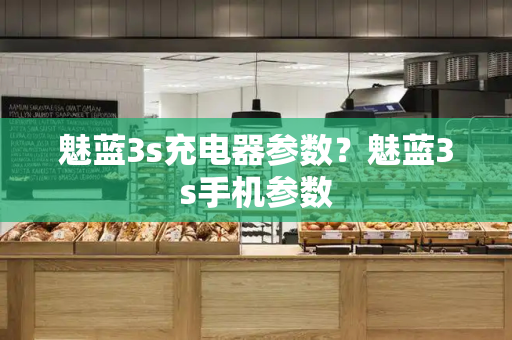 魅蓝3s充电器参数？魅蓝3s手机参数