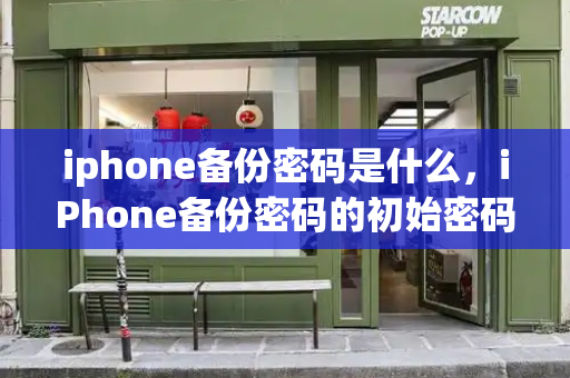 iphone备份密码是什么，iPhone备份密码的初始密码-第1张图片-星选测评