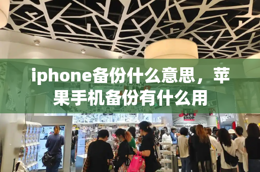 iphone备份什么意思，苹果手机备份有什么用-第1张图片-星选测评