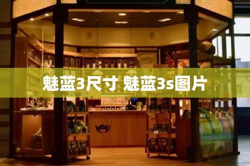 魅蓝3尺寸 魅蓝3s图片-第1张图片-星选测评