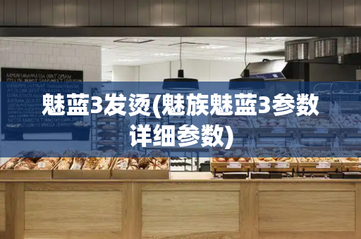 魅蓝3发烫(魅族魅蓝3参数详细参数)
