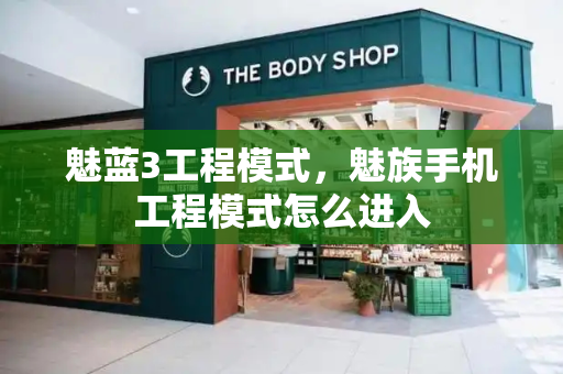 魅蓝3工程模式，魅族手机工程模式怎么进入-第1张图片-星选测评