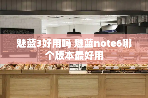 魅蓝3好用吗 魅蓝note6哪个版本最好用-第1张图片-星选测评
