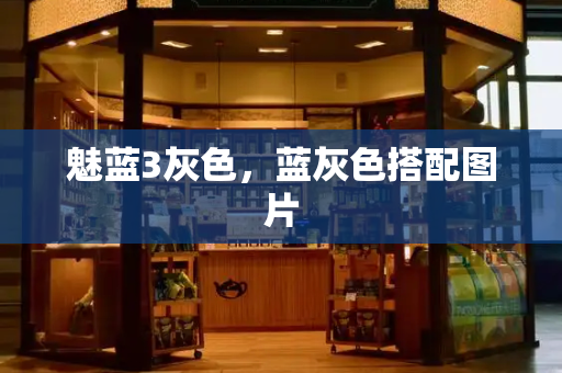 魅蓝3灰色，蓝灰色搭配图片-第1张图片-星选测评