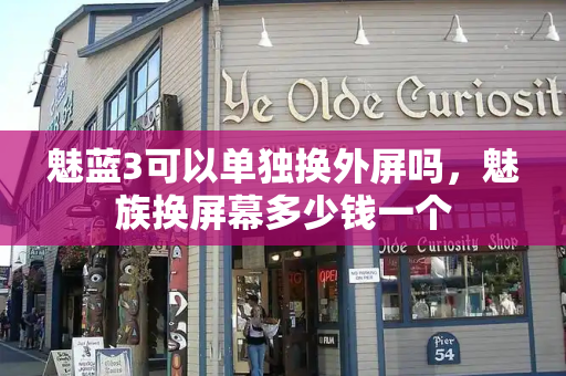 魅蓝3可以单独换外屏吗，魅族换屏幕多少钱一个-第1张图片-星选测评