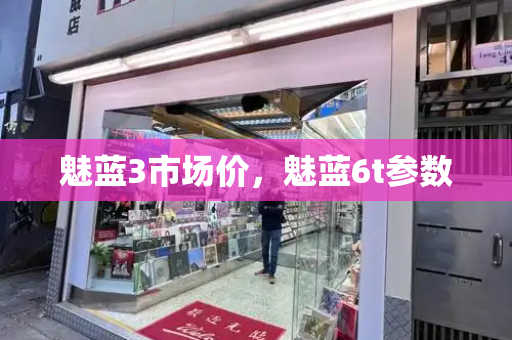 魅蓝3市场价，魅蓝6t参数-第1张图片-星选测评