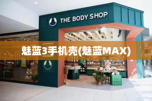 魅蓝3手机壳(魅蓝MAX)-第1张图片-星选测评