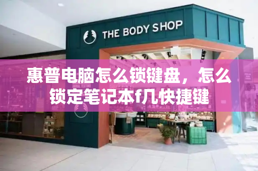 惠普电脑怎么锁键盘，怎么锁定笔记本f几快捷键-第1张图片-星选测评