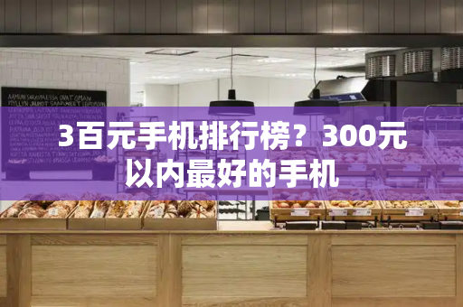 3百元手机排行榜？300元以内最好的手机-第1张图片-星选测评