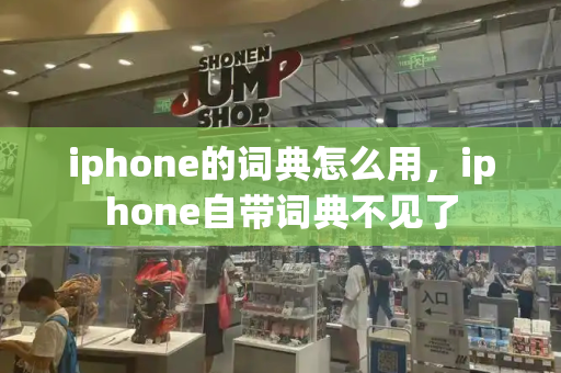 iphone的词典怎么用，iphone自带词典不见了