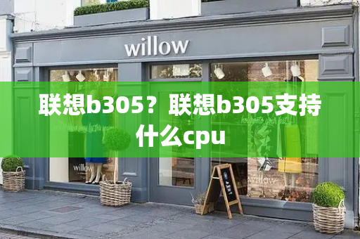 联想b305？联想b305支持什么cpu