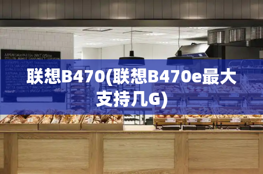 联想B470(联想B470e最大支持几G)-第1张图片-星选测评