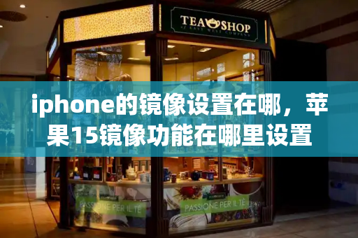iphone的镜像设置在哪，苹果15镜像功能在哪里设置-第1张图片-星选测评