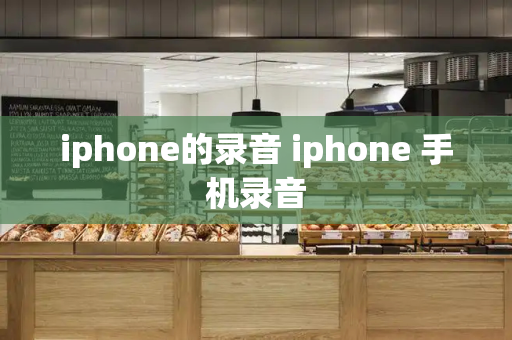 iphone的录音 iphone 手机录音