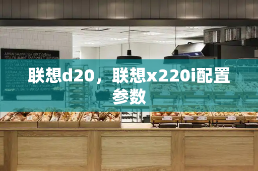 联想d20，联想x220i配置参数-第1张图片-星选测评