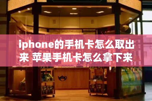 iphone的手机卡怎么取出来 苹果手机卡怎么拿下来-第1张图片-星选测评