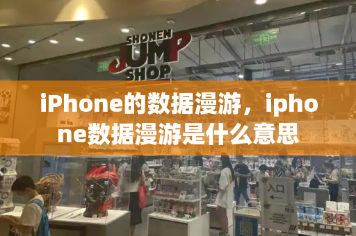 iPhone的数据漫游，iphone数据漫游是什么意思-第1张图片-星选测评