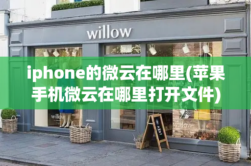 iphone的微云在哪里(苹果手机微云在哪里打开文件)-第1张图片-星选测评