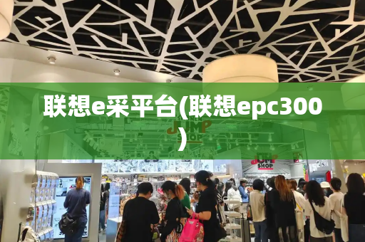 联想e采平台(联想epc300)-第1张图片-星选测评
