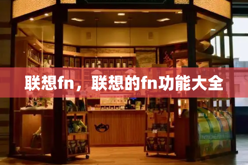 联想fn，联想的fn功能大全-第1张图片-星选测评