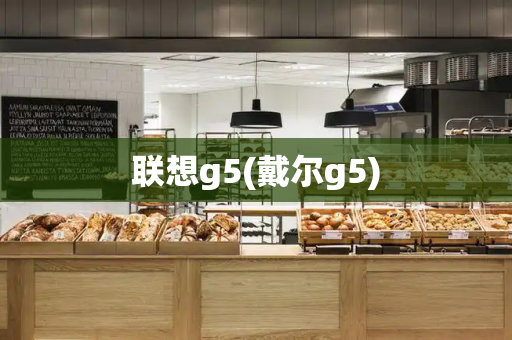 联想g5(戴尔g5)-第1张图片-星选测评