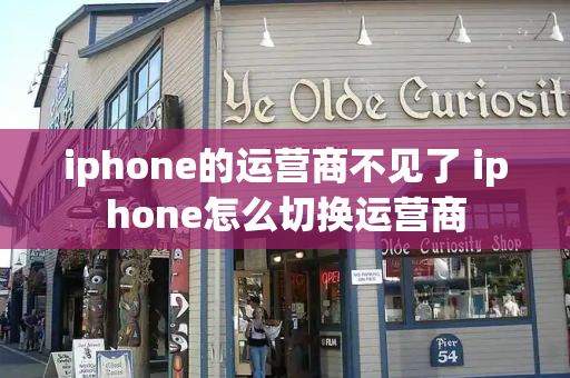 iphone的运营商不见了 iphone怎么切换运营商