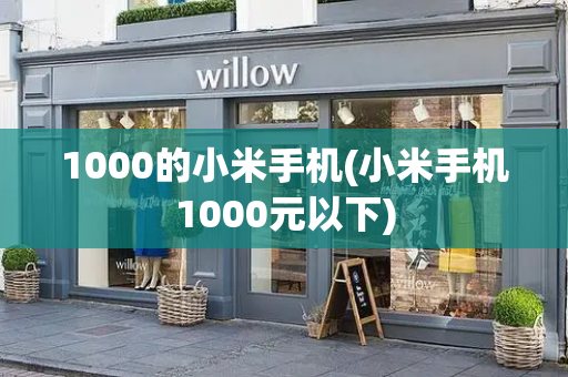 1000的小米手机(小米手机1000元以下)-第1张图片-星选测评