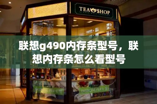 联想g490内存条型号，联想内存条怎么看型号-第1张图片-星选测评