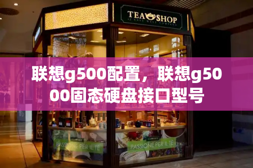 联想g500配置，联想g5000固态硬盘接口型号-第1张图片-星选测评