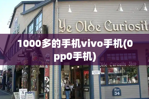 1000多的手机vivo手机(0pp0手机)-第1张图片-星选测评