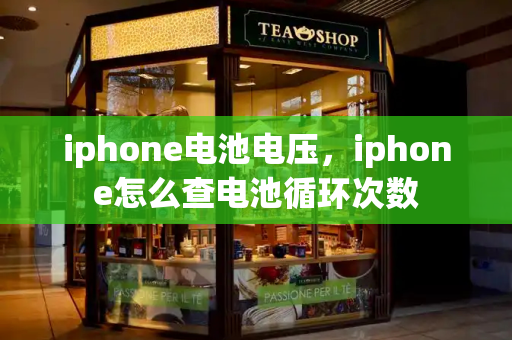 iphone电池电压，iphone怎么查电池循环次数