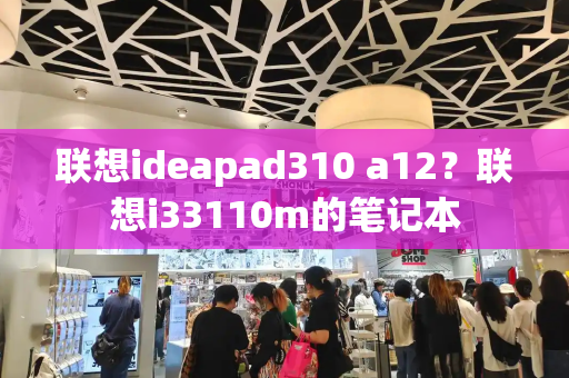 联想ideapad310 a12？联想i33110m的笔记本