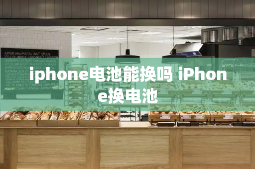 iphone电池能换吗 iPhone换电池-第1张图片-星选测评