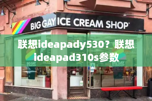 联想ideapady530？联想ideapad310s参数