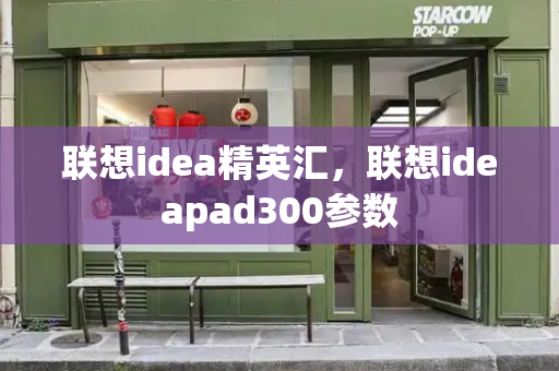 联想idea精英汇，联想ideapad300参数-第1张图片-星选测评