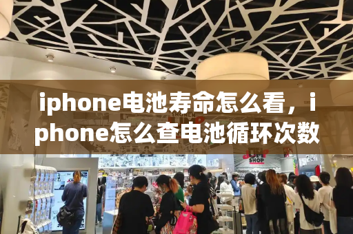 iphone电池寿命怎么看，iphone怎么查电池循环次数-第1张图片-星选测评
