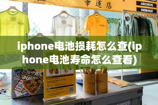iphone电池损耗怎么查(iphone电池寿命怎么查看)-第1张图片-星选测评
