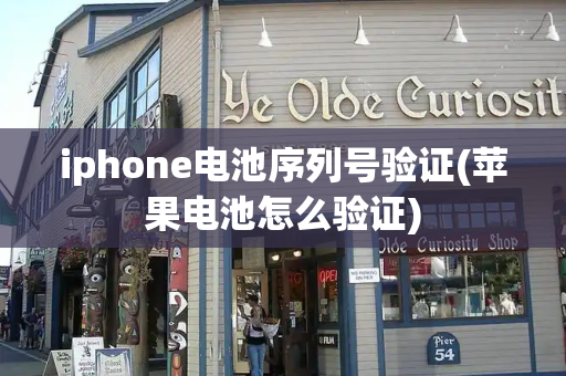 iphone电池序列号验证(苹果电池怎么验证)-第1张图片-星选测评