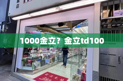 1000金立？金立td100