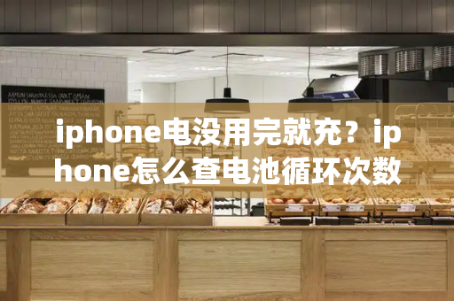 iphone电没用完就充？iphone怎么查电池循环次数-第1张图片-星选测评
