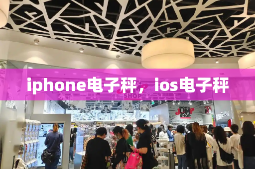 iphone电子秤，ios电子秤