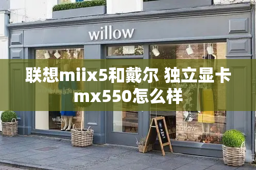 联想miix5和戴尔 独立显卡mx550怎么样