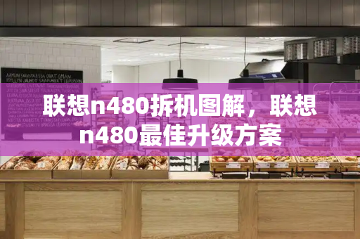 联想n480拆机图解，联想n480最佳升级方案-第1张图片-星选测评