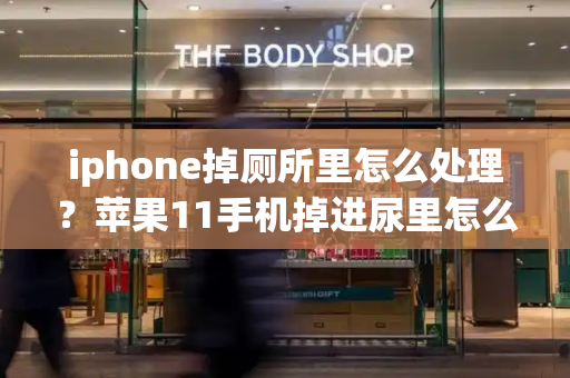 iphone掉厕所里怎么处理？苹果11手机掉进尿里怎么办