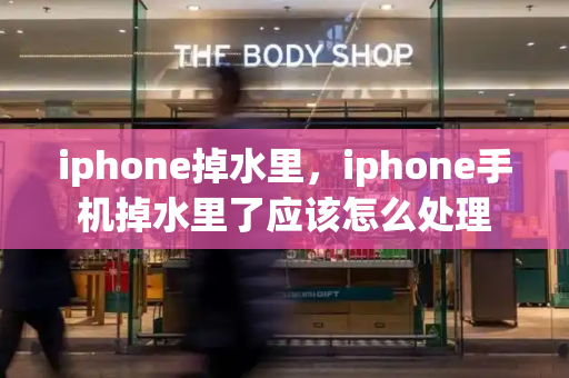iphone掉水里，iphone手机掉水里了应该怎么处理