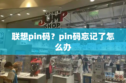 联想pin码？pin码忘记了怎么办-第1张图片-星选测评