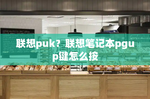 联想puk？联想笔记本pgup键怎么按-第1张图片-星选测评